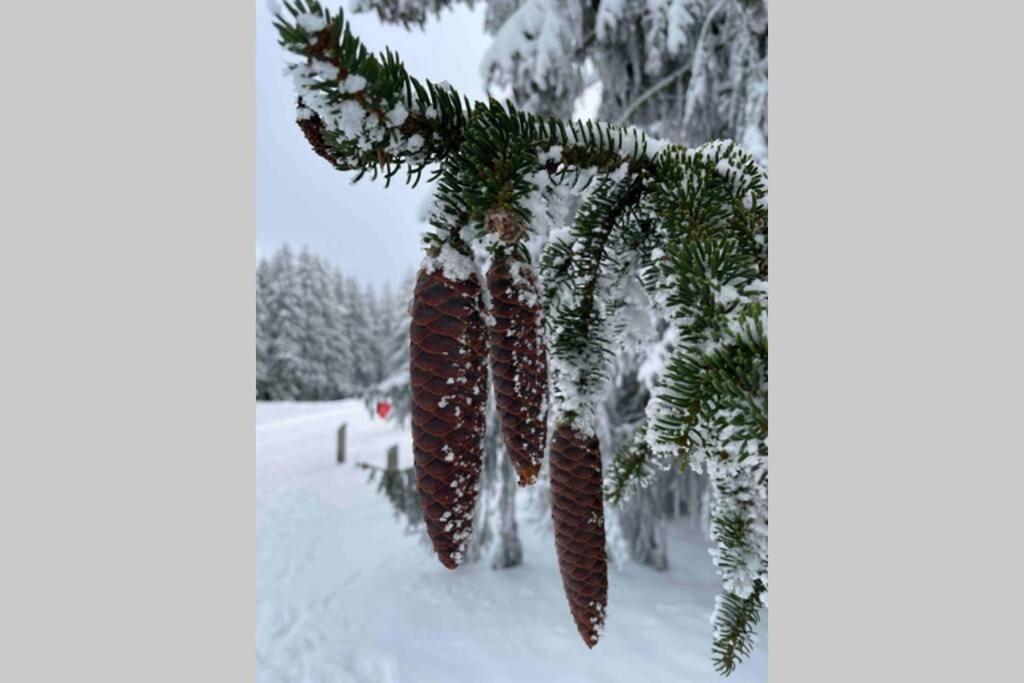 Apartamento Zeit für Dich am Bergelchen, Winterberg Exterior foto
